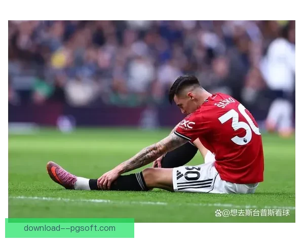 拜仁夏窗瞄准热刺老将寻求防线核心补强 拜仁夏窗瞄准热刺老将寻求防线核心补强